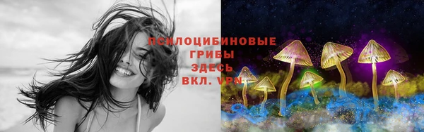 спиды Каменка