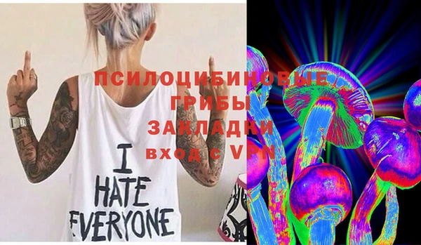 спиды Каменка